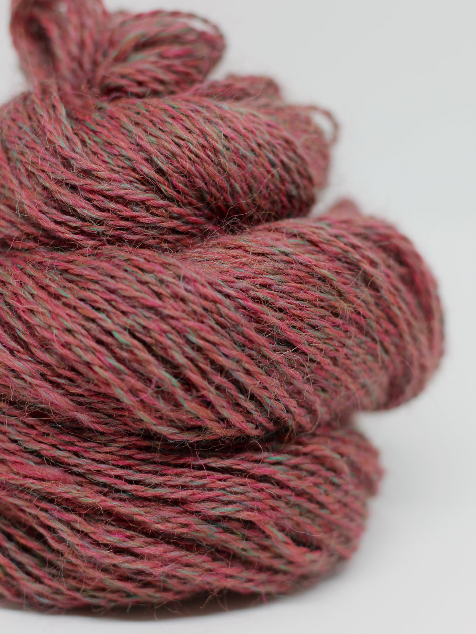 Appledore Lace