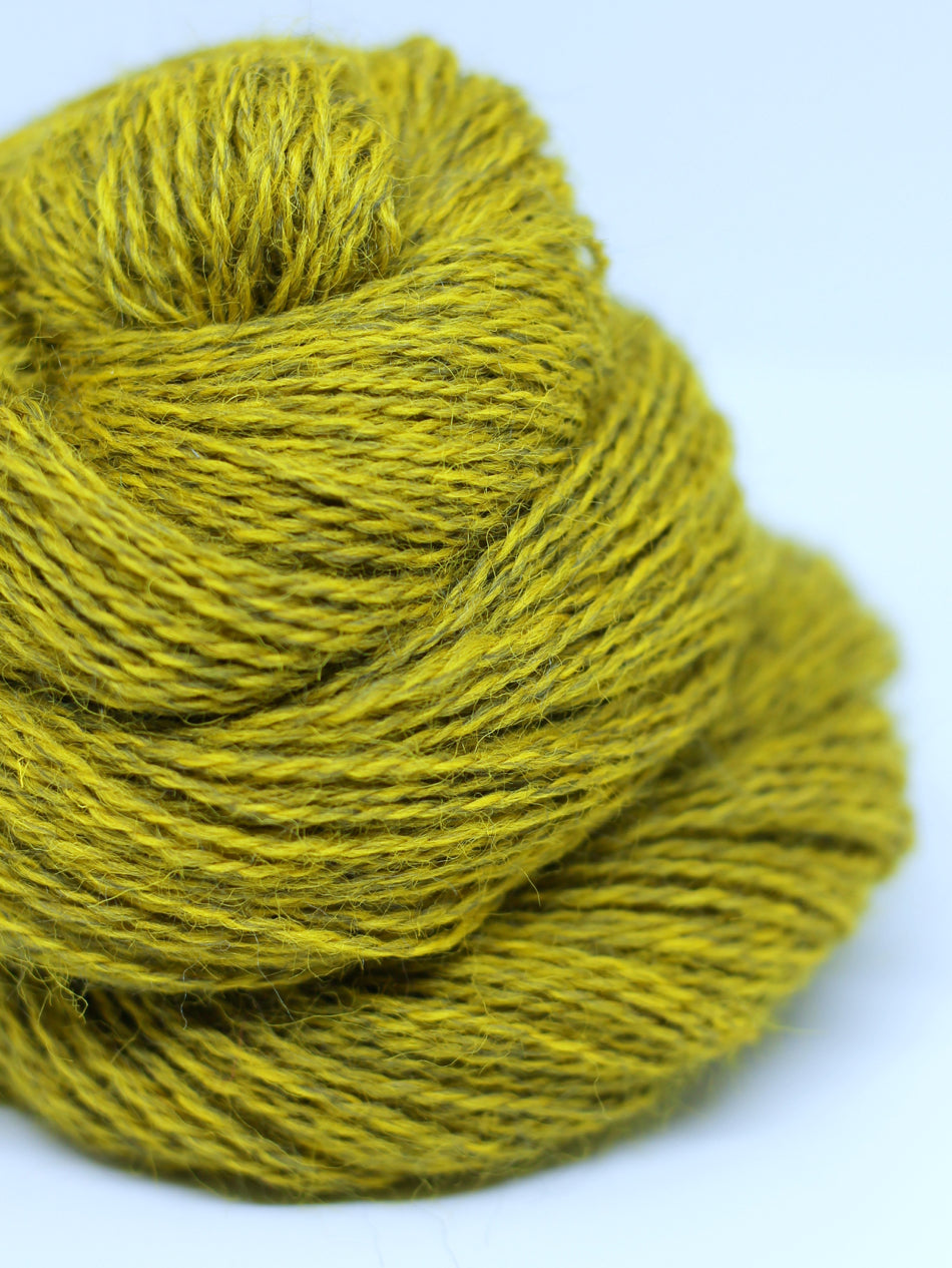 Rainshine Shawl Kit by Melanie Berg