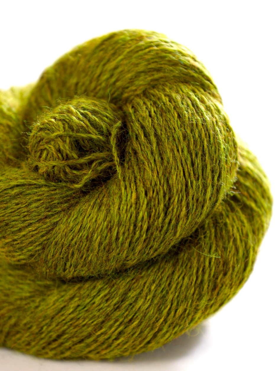 Harvest Hues Worsted