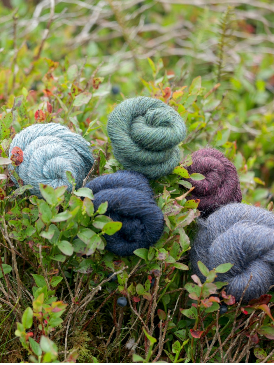 Harvest Hues Worsted