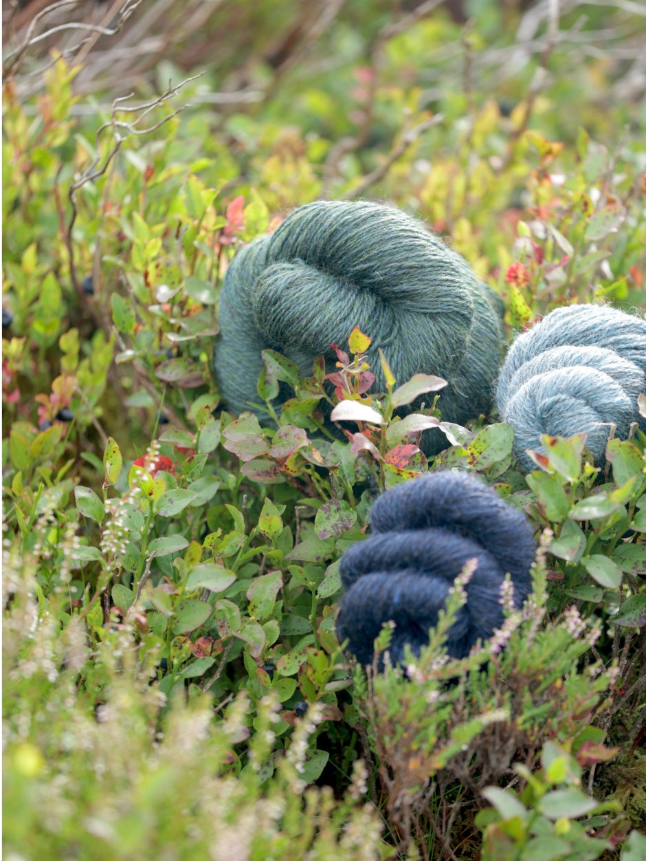 Harvest Hues Worsted