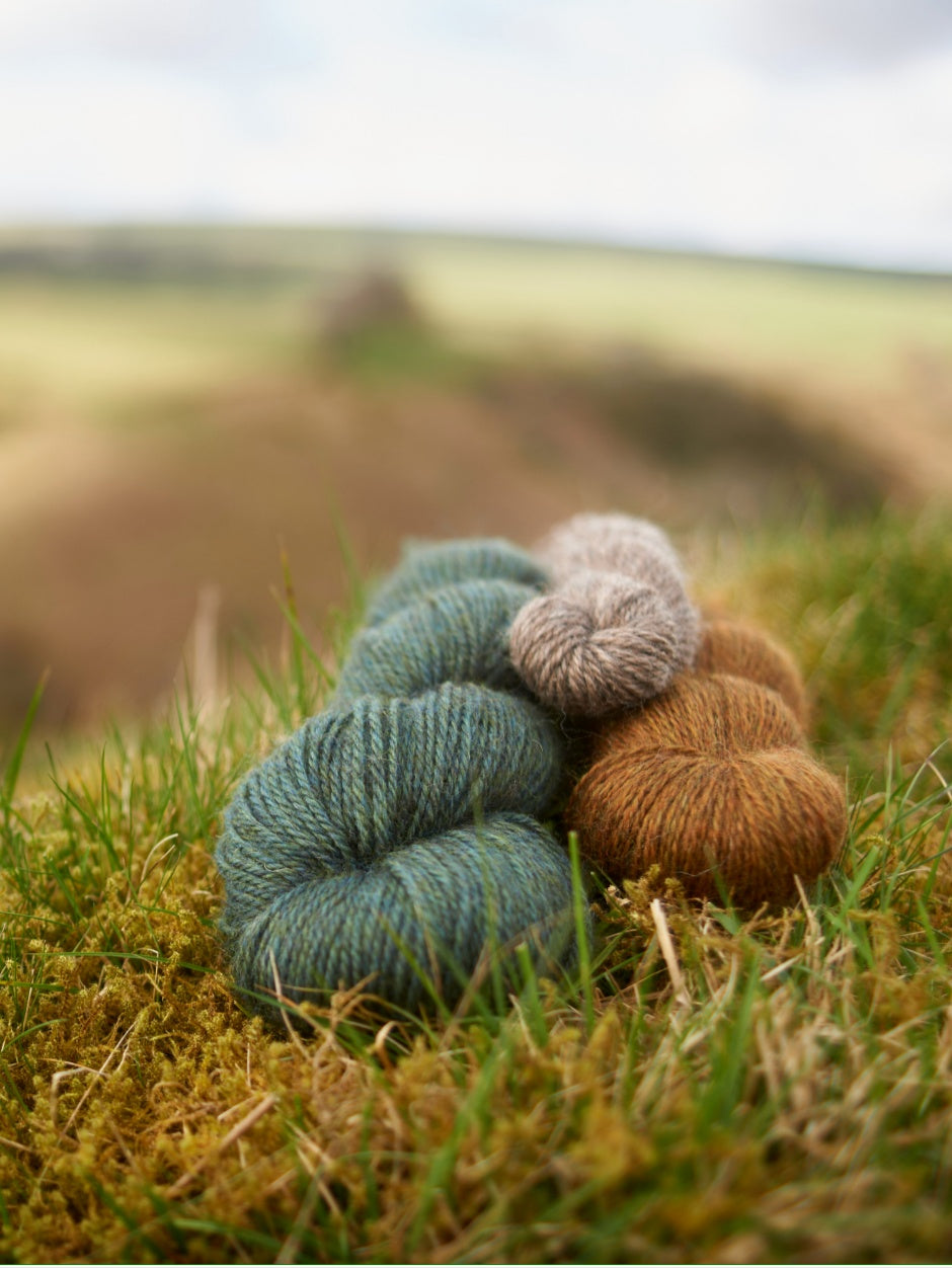 Harvest Hues Worsted