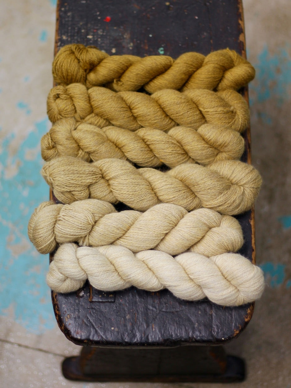 Knit by Numbers Gradient Sets