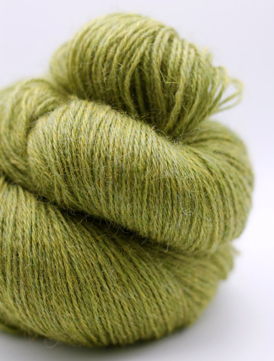 Devonia DK