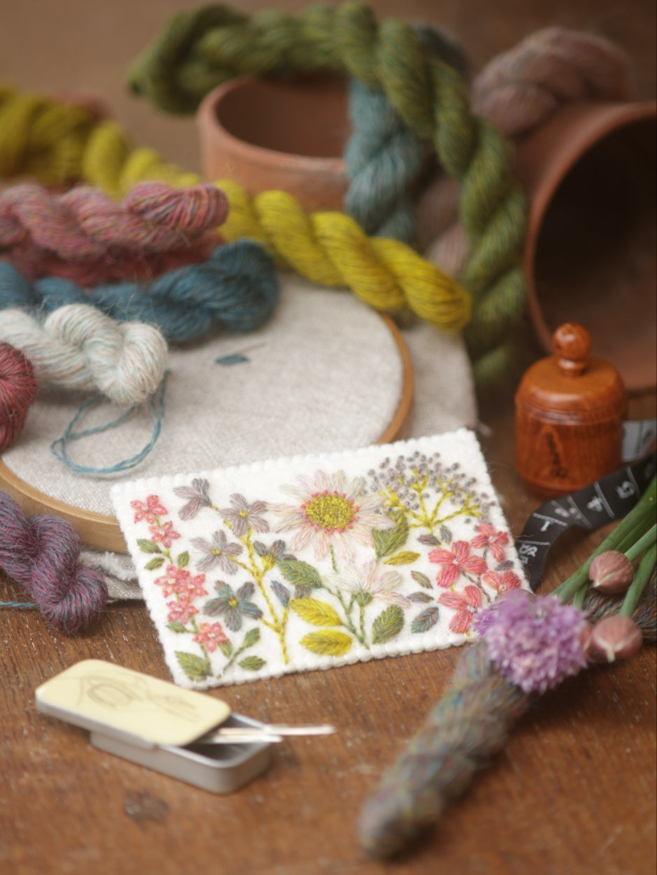Appledore Lace Embroidery Sampler Kit
