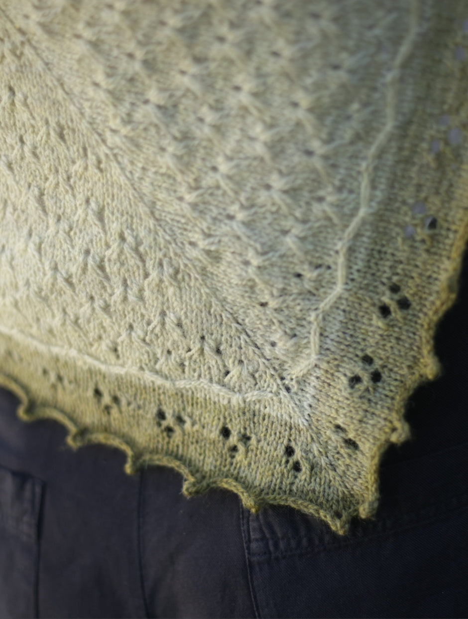 Apple Blossom Shawl Kit by Ashley Lee (Annual Four)