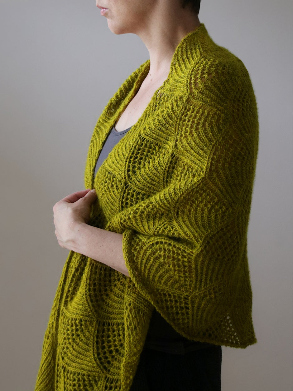 Rainshine Shawl Kit by Melanie Berg