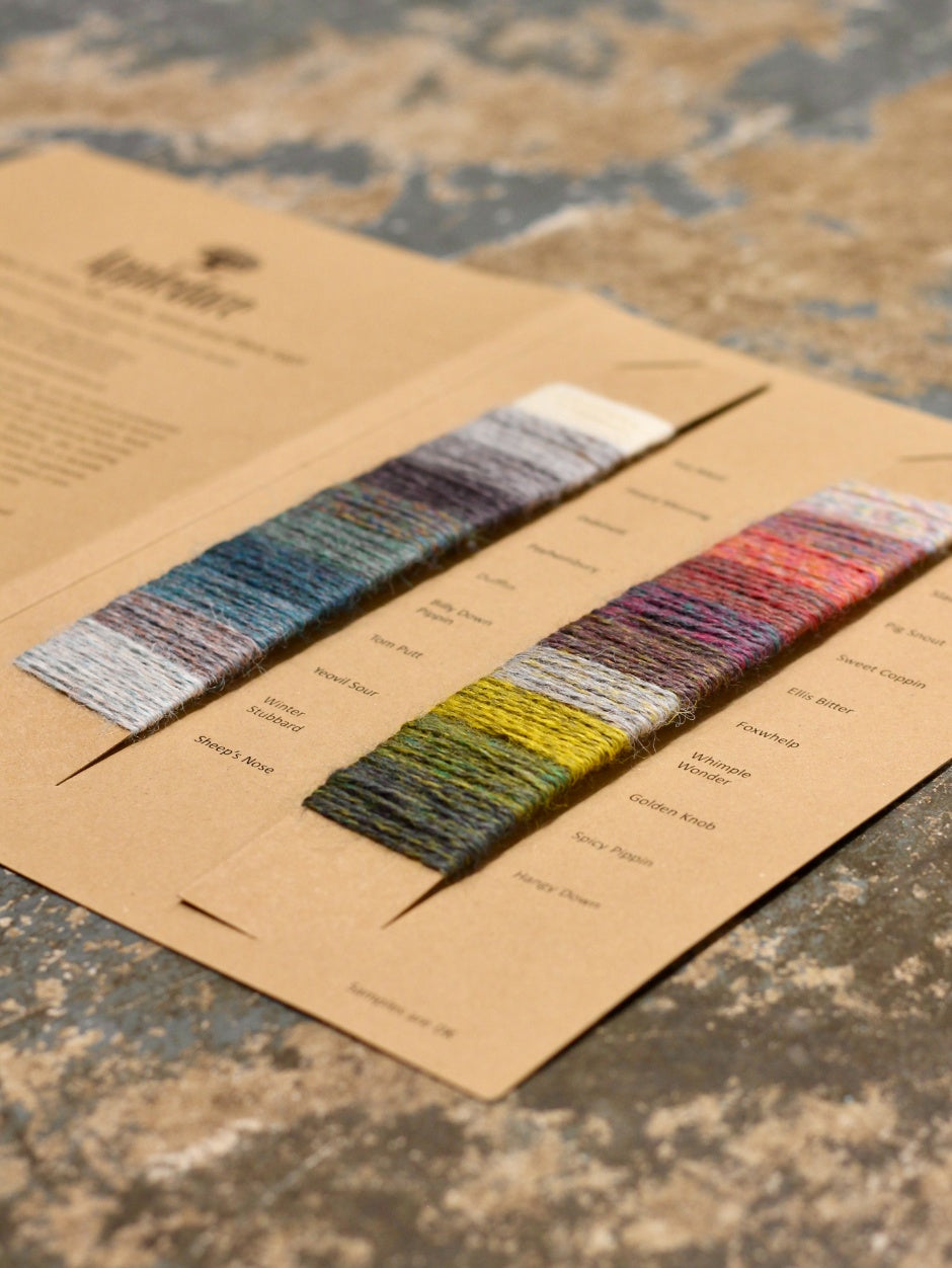 Shade Cards