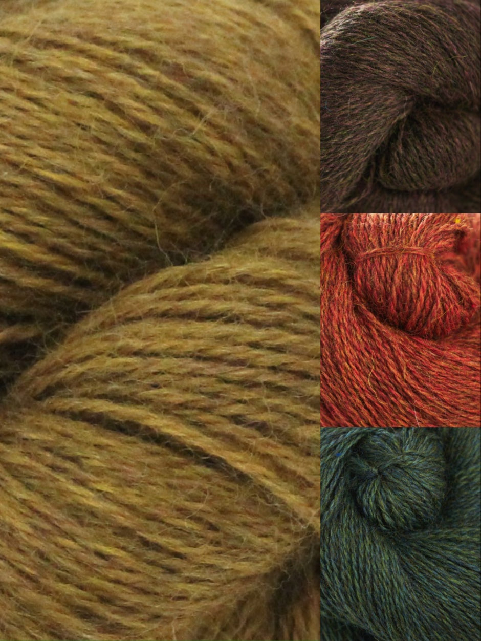 Rambling Rose Blanket Kit by Fay Dashper-Hughes (Annual Four)