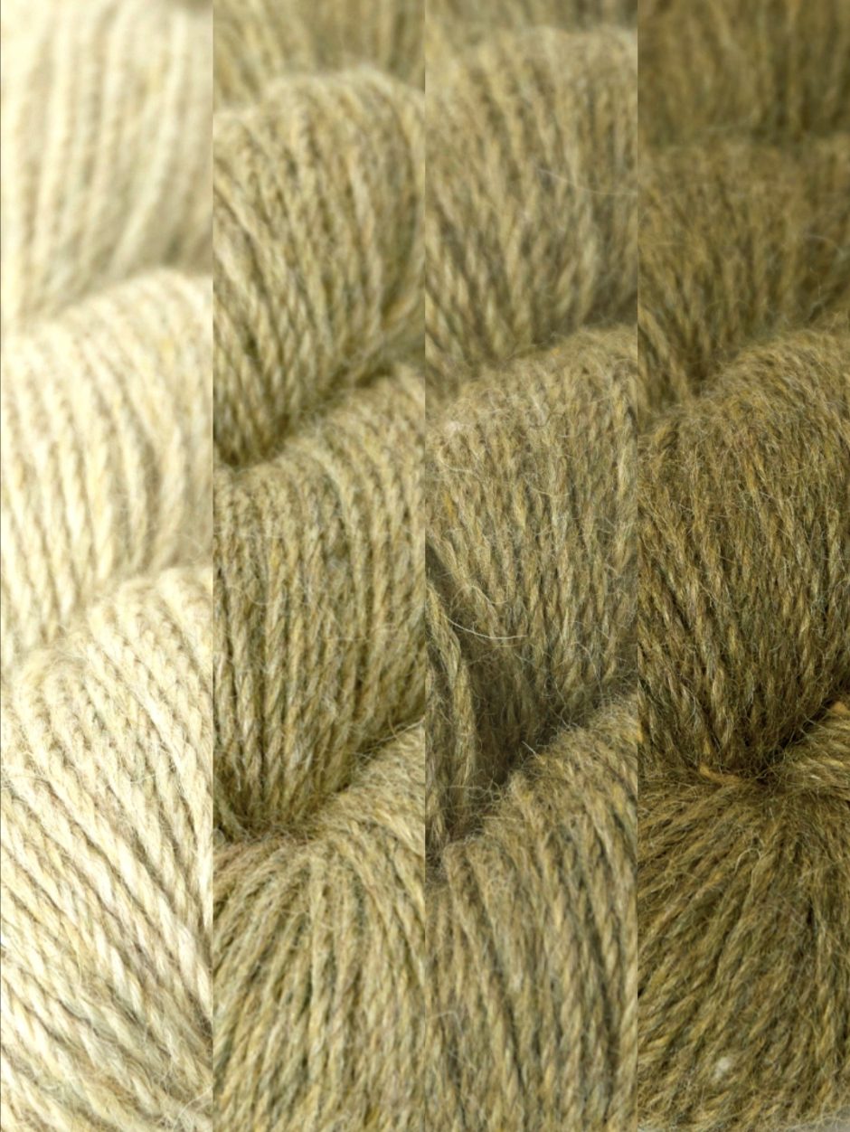 Apple Blossom Shawl Kit by Ashley Lee (Annual Four)
