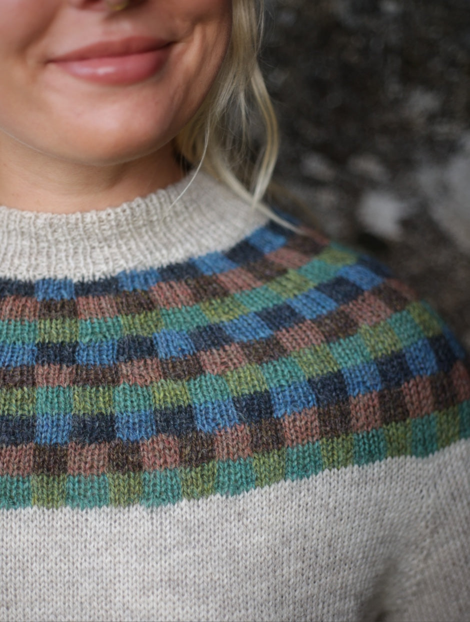 Paul Klee Sweater Kit by Midori Hirose