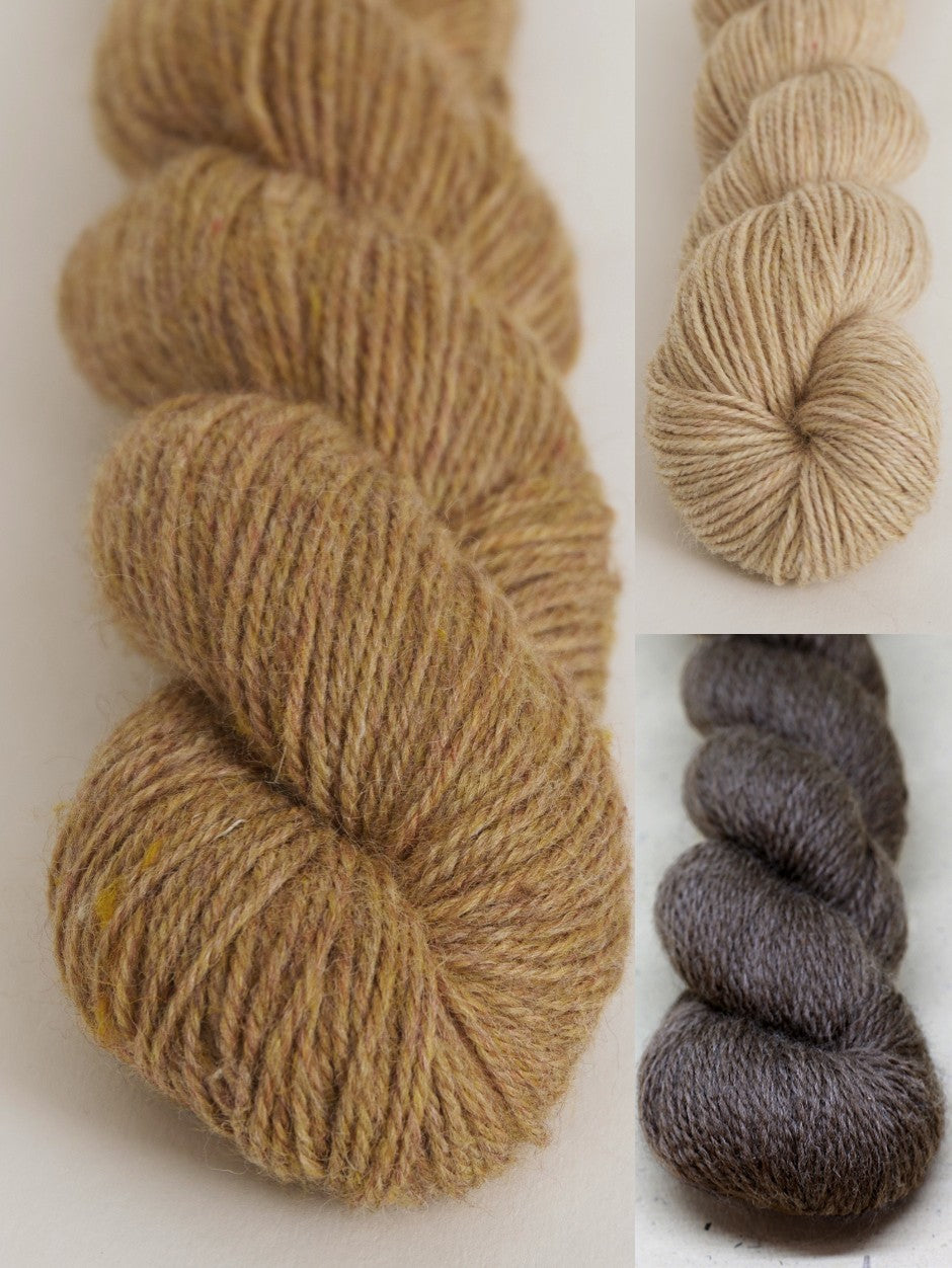 Woolacombe Waffle Hat Kit by Helena Timms (Annual Five)