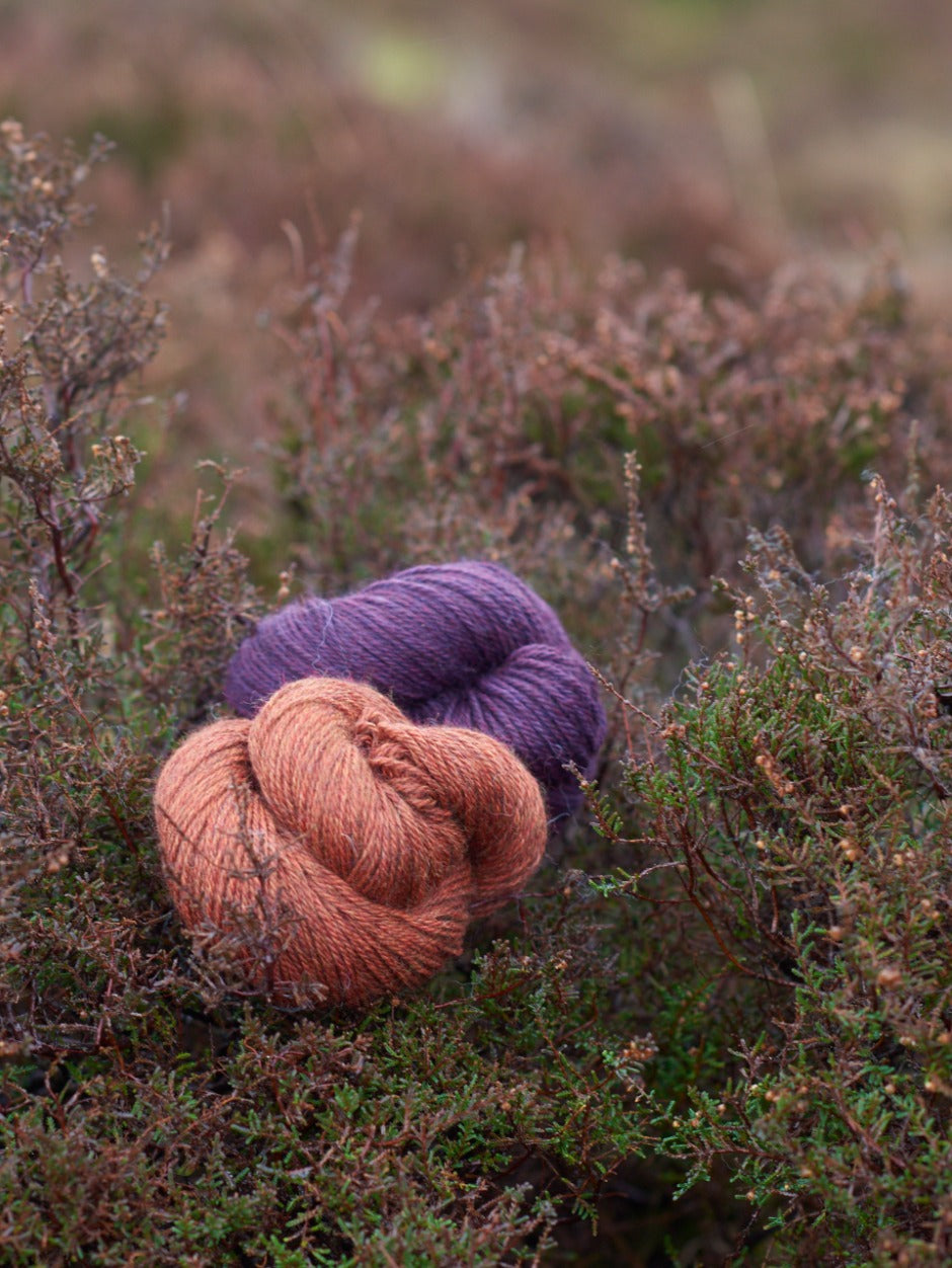 Harvest Hues Worsted