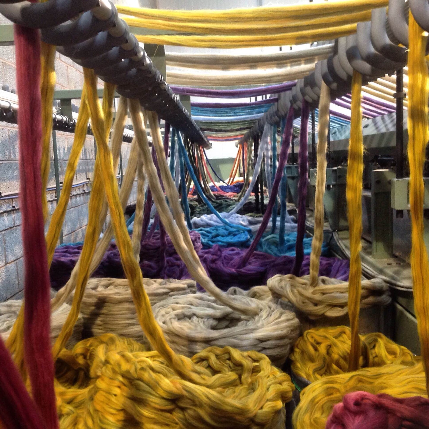 Devonia 4ply