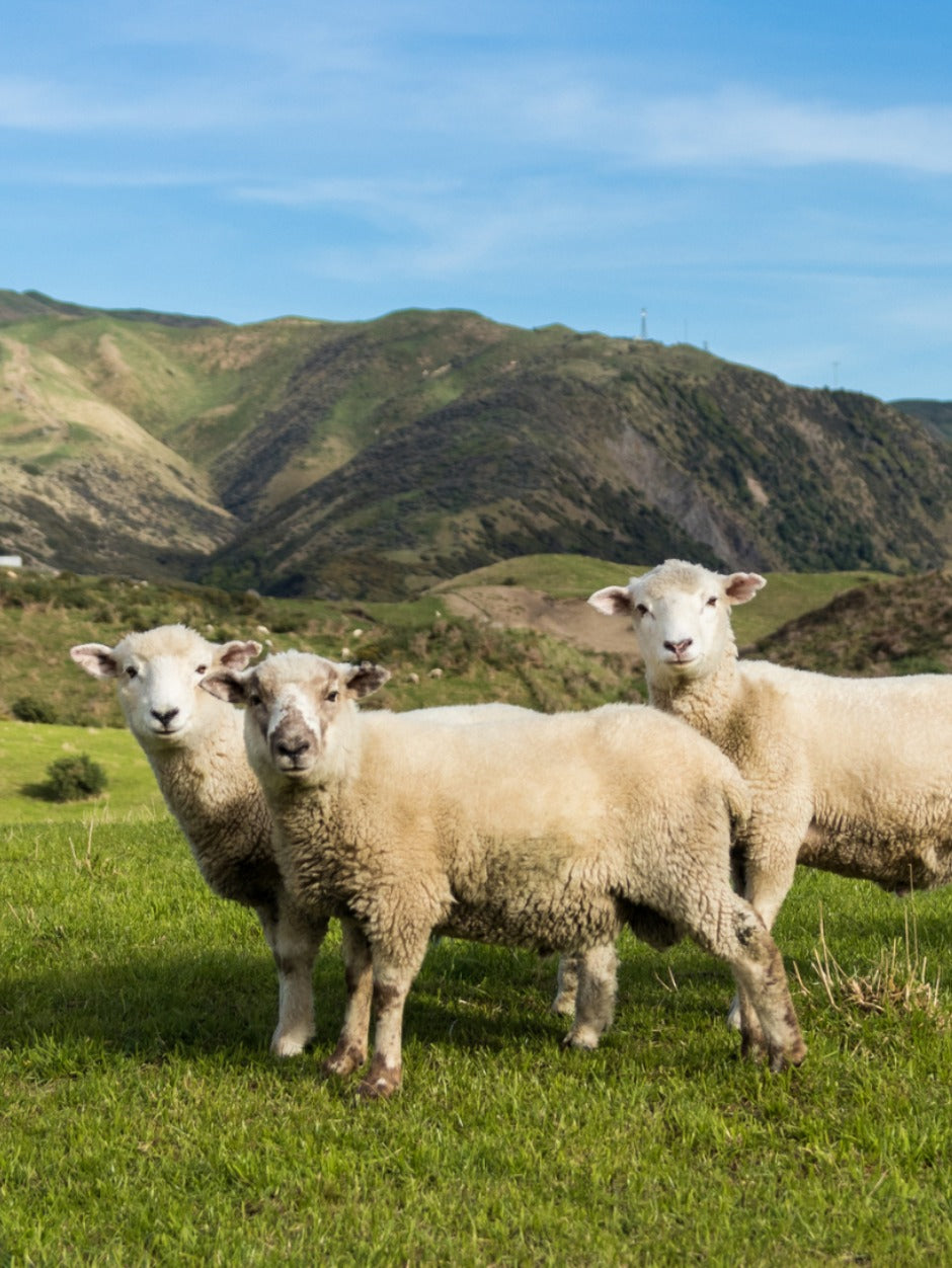 Yarnadelic Worsted