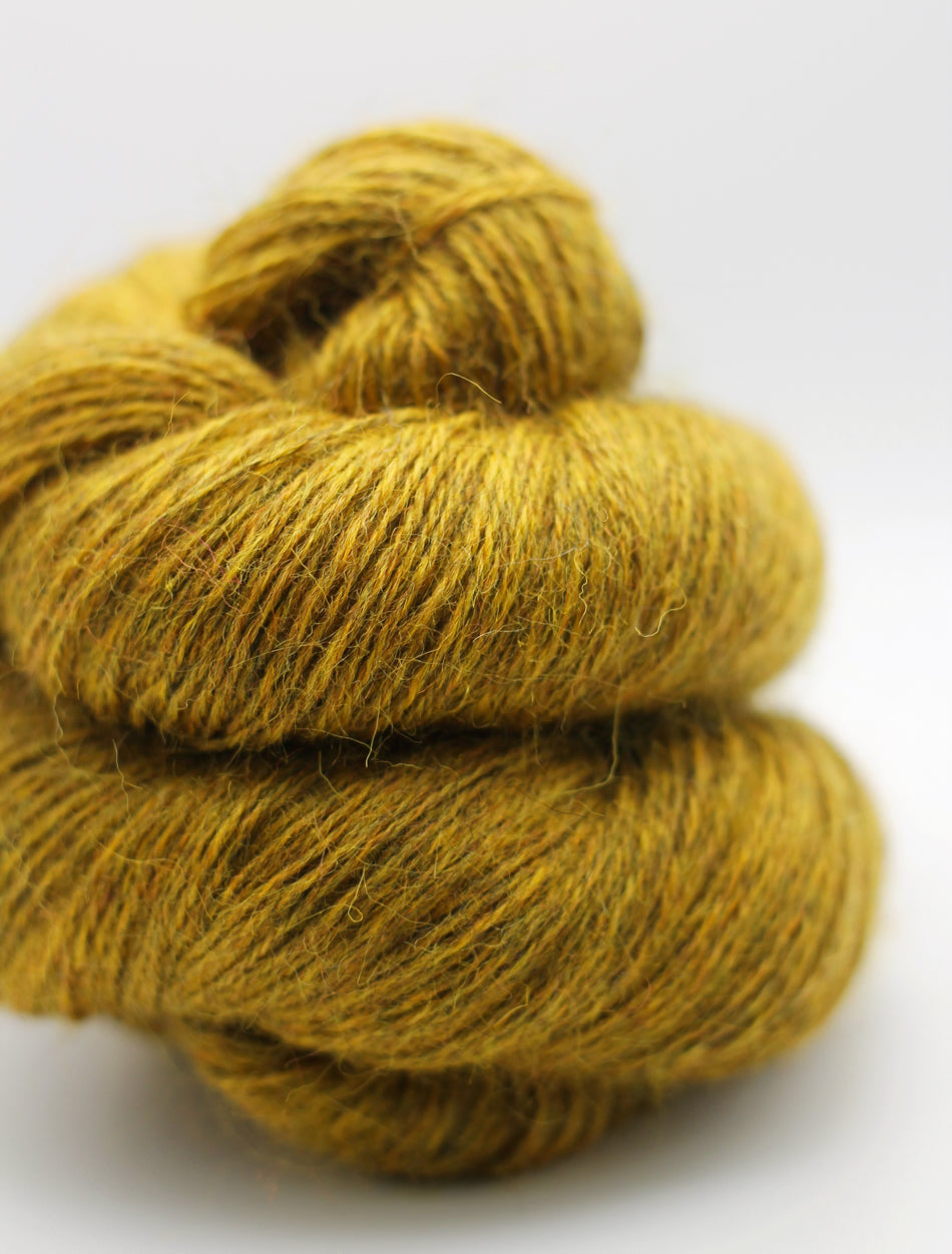 Devonia 4ply