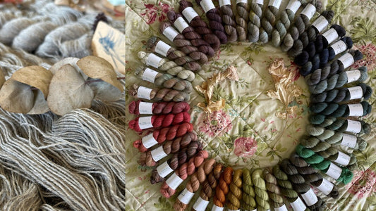 Folks We Spin For - Beth from Telling Yarns