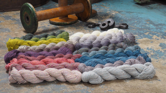 Say ‘Hi’ to Our New Appledore Aran!