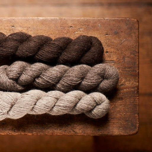Devon Naturals (4ply / DK)