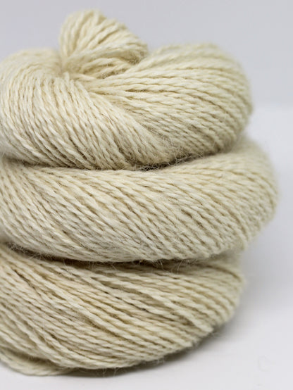 Appledore Lace