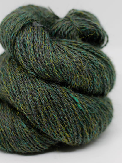 Appledore Lace
