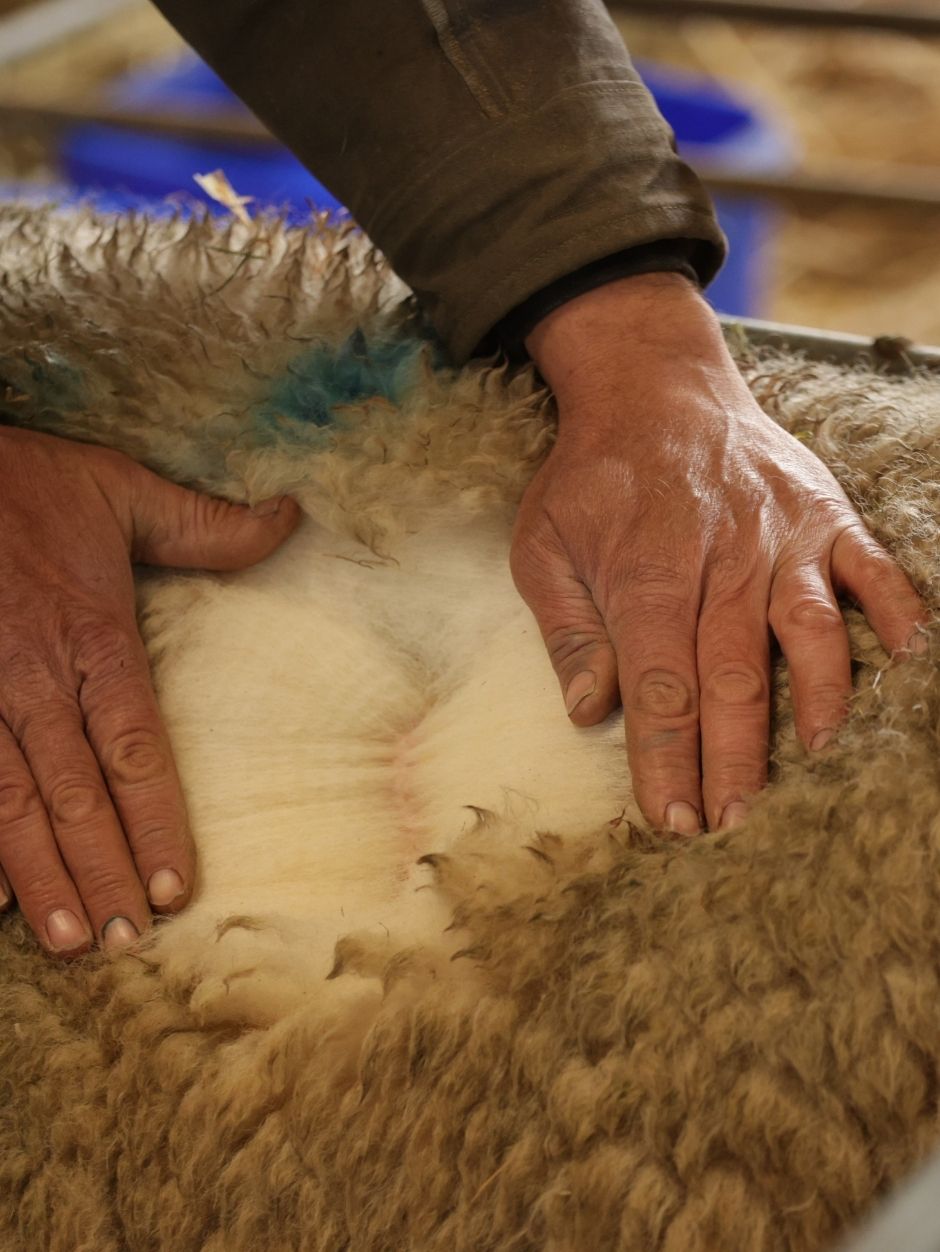 What's in a Blend? Fibre Characteristics of Sheep Breeds with Sonja & Helena of JAT
