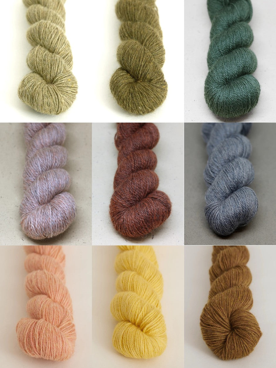 Kemmick Shawl Kit by Anna Husemann (Annual Three)