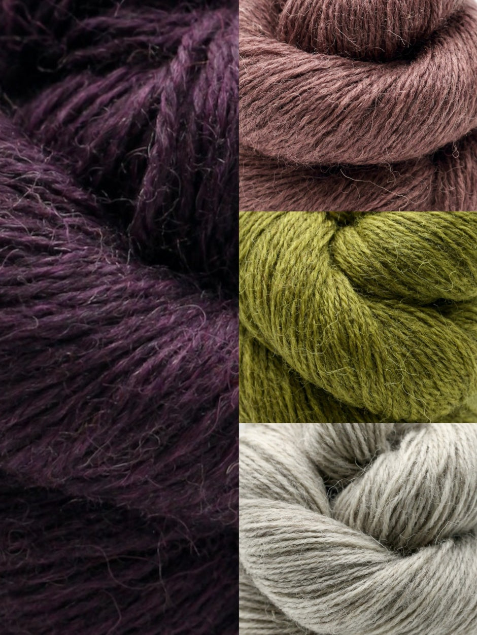 Gnome Place Like Home Socks Kit by Charlotte Stone