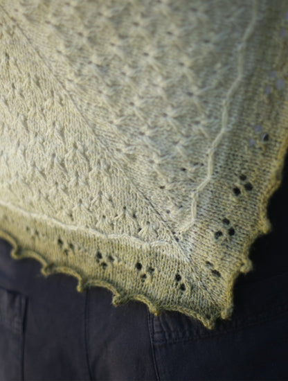 Apple Blossom Shawl Kit by Ashley Lee (Annual Four)