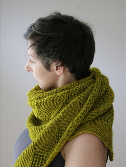 Rainshine Shawl Kit by Melanie Berg