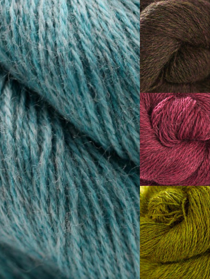 Rambling Rose Blanket Kit by Fay Dashper-Hughes (Annual Four)