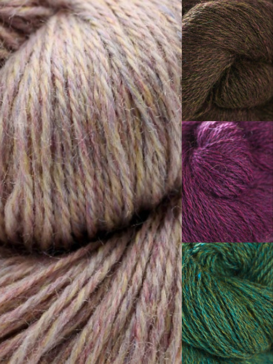 Rambling Rose Blanket Kit by Fay Dashper-Hughes (Annual Four)