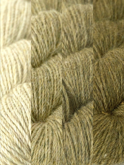 Apple Blossom Shawl Kit by Ashley Lee (Annual Four)
