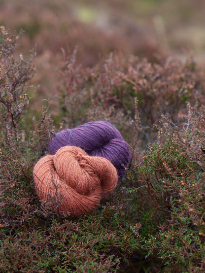 Harvest Hues Worsted