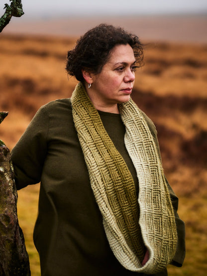 Broad Oak Hill Cowl Kit by Fay Dashper-Hughes (Annual two)