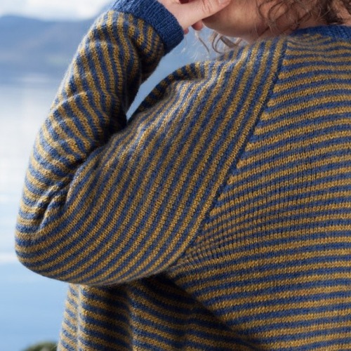Sweaters & Cardigans