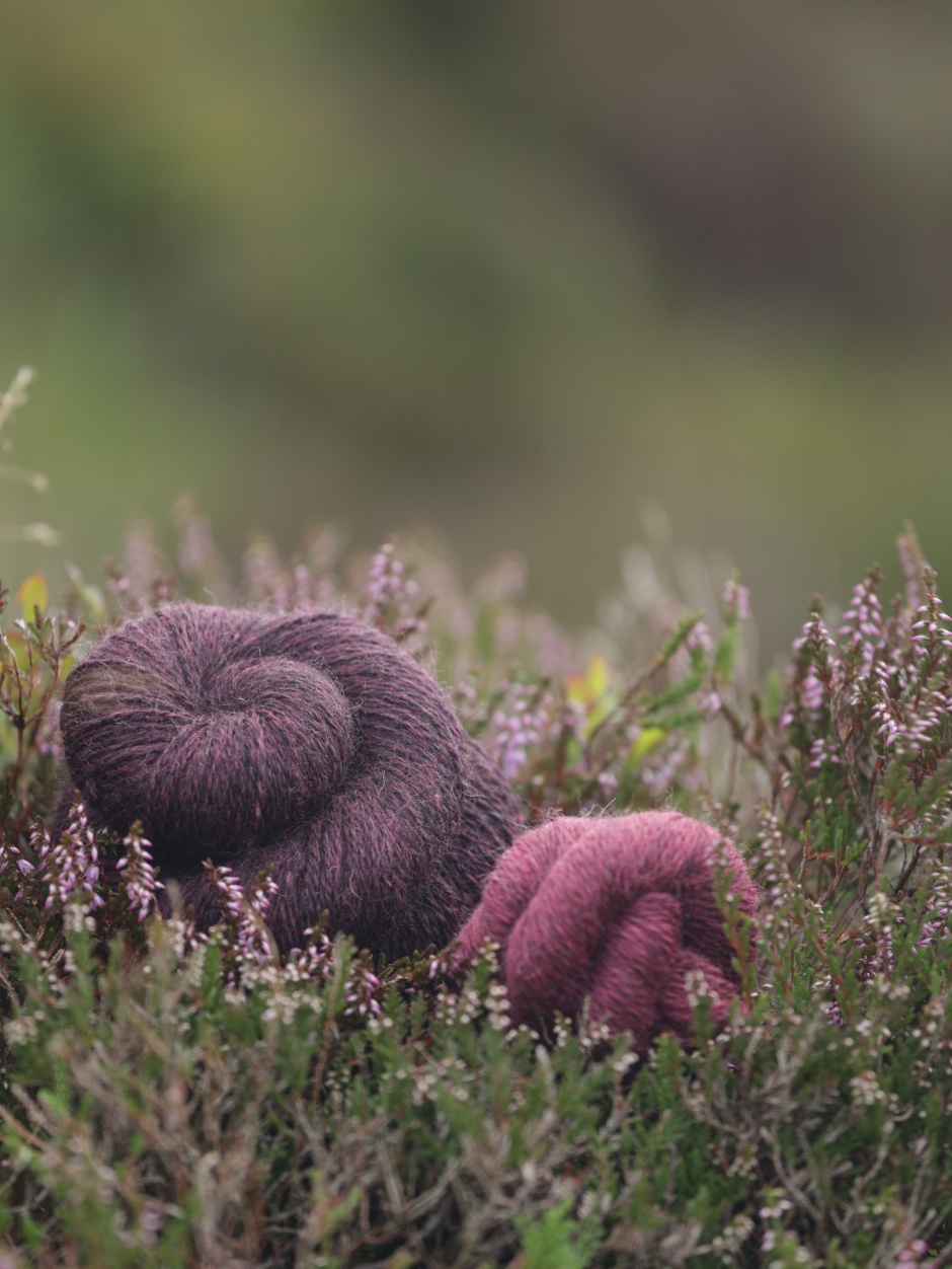 Harvest Hues Worsted