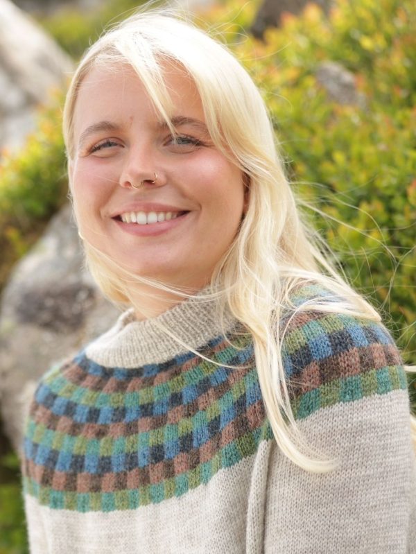 Paul Klee Sweater Kit by Midori Hirose