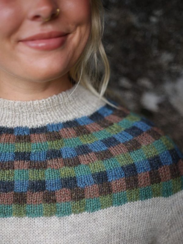 Paul Klee Sweater Kit by Midori Hirose